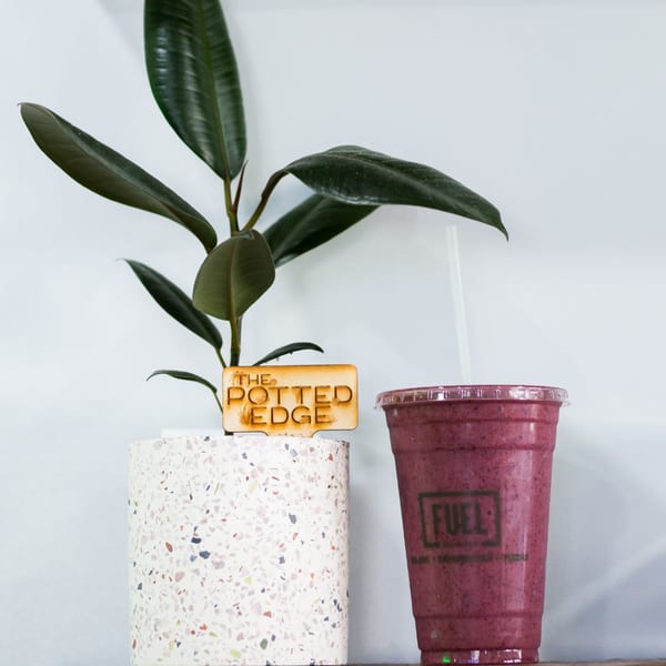 A Fuel Counter berry smoothie with a straw next to a potted plant with a "The Potted Edge" sign.